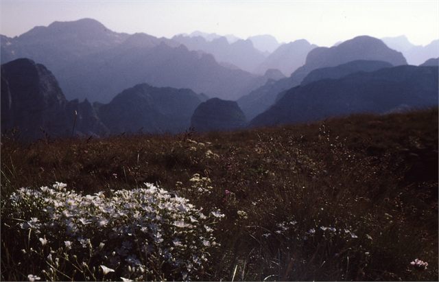 hřebínky z vrcholu  Maja Kalata 2528m